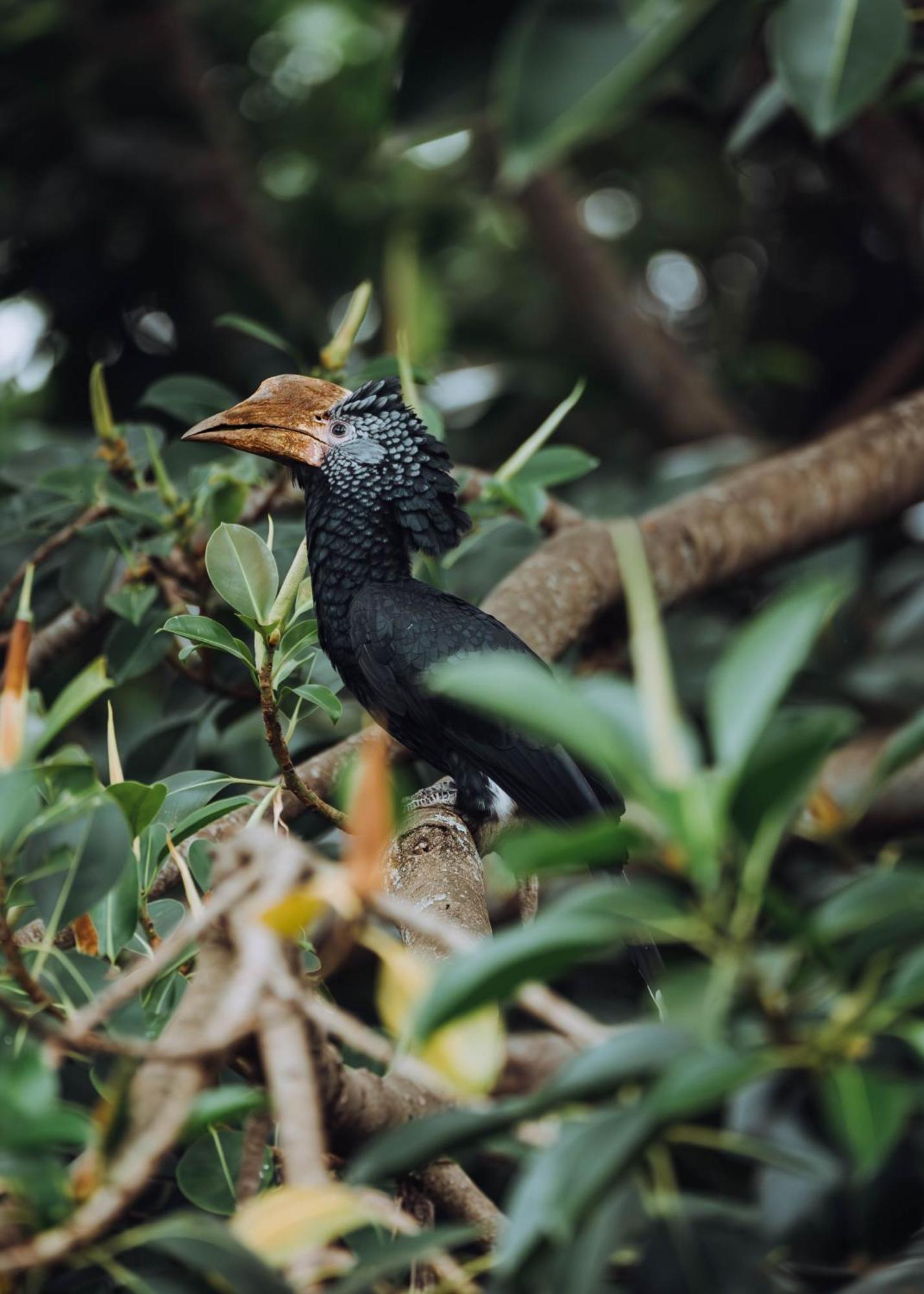 Aishi Machame Villa Moshi Dış mekan fotoğraf
