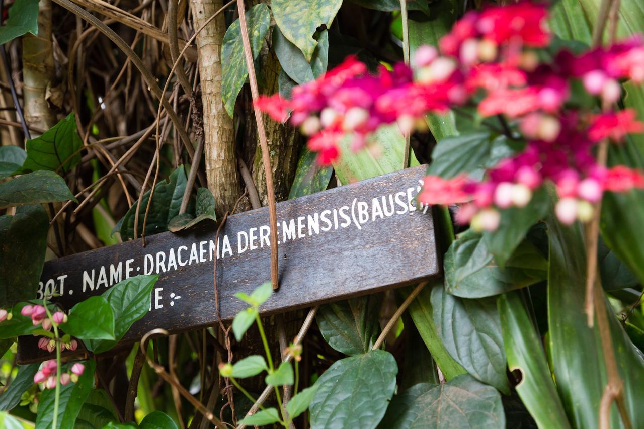 Aishi Machame Villa Moshi Dış mekan fotoğraf