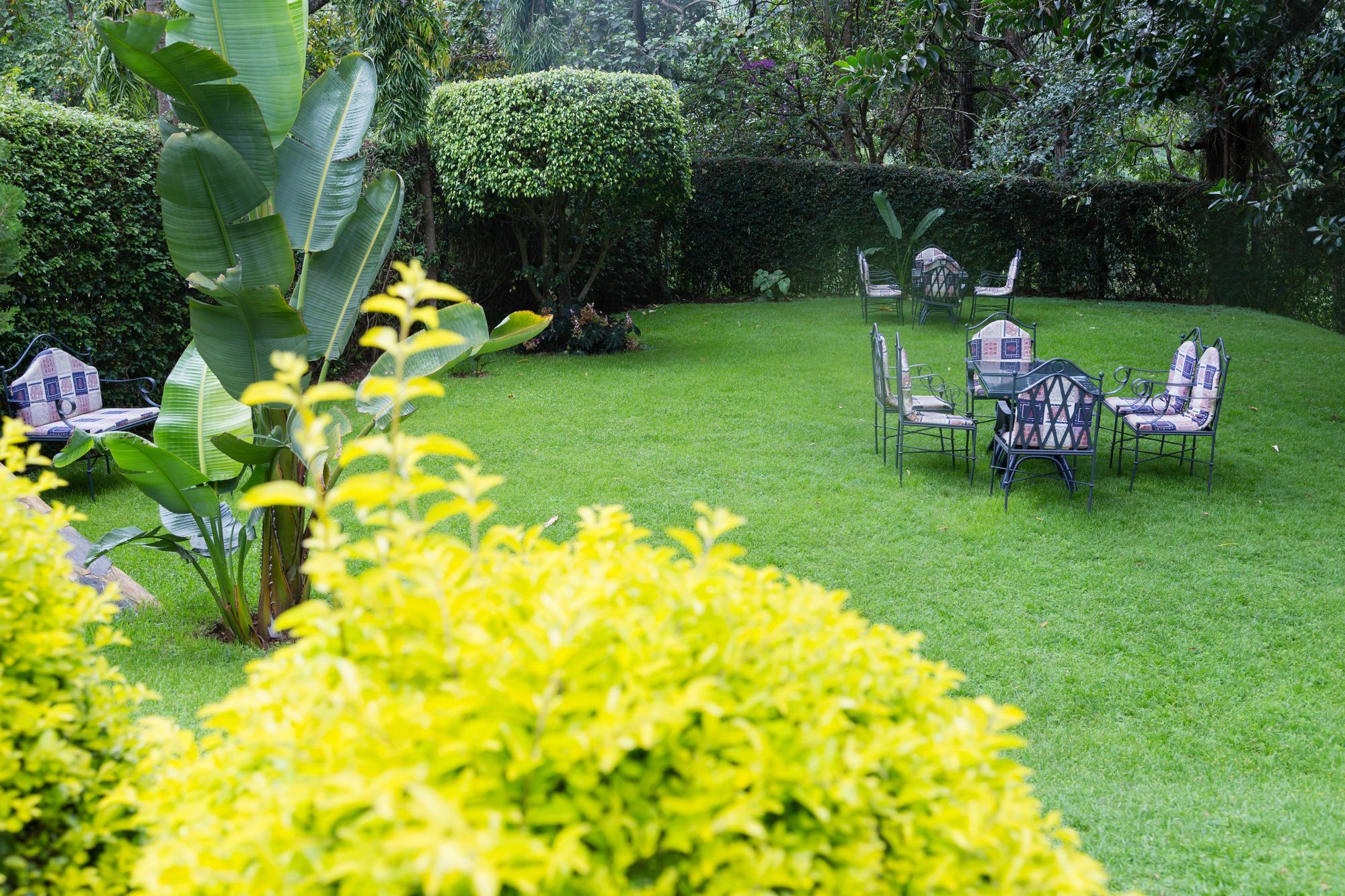 Aishi Machame Villa Moshi Dış mekan fotoğraf